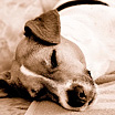 &copy; 2012 manuela bickel & ralf bickel