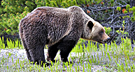 &copy; 2011 manuela bickel & ralf bickel