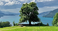 &copy; 2023 manuela bickel & ralf bickel